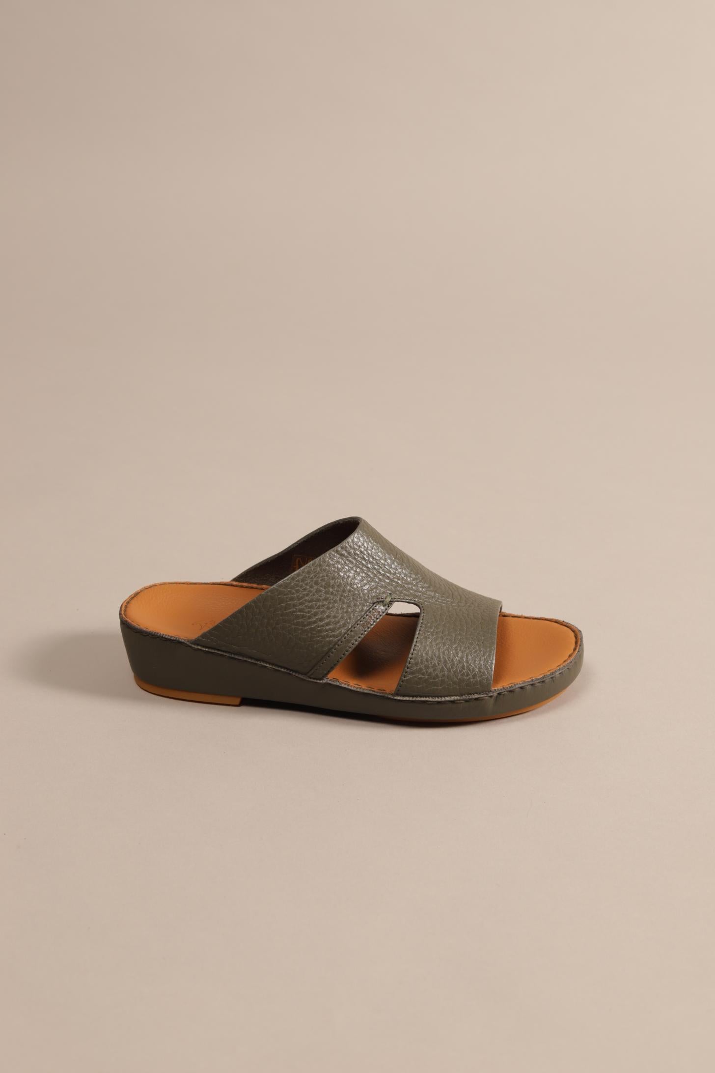 F 3271 Trotter  Grigiolivia - Fares