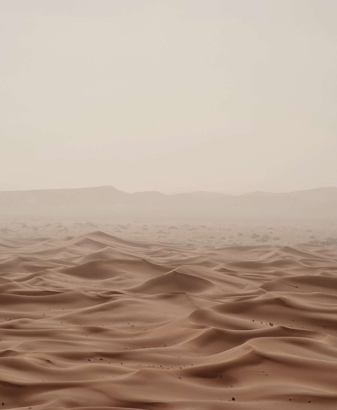 files/Screenshot_2023-12-04_at_10.04.39_AM.png